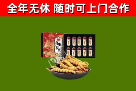 洛阳烟酒回收冬虫夏草礼盒.jpg